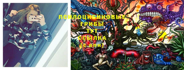 тгк Аркадак