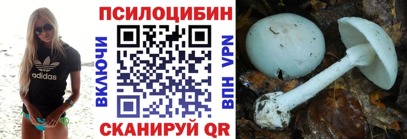 где найти   Сасово  Галлюциногенные грибы Psilocybine cubensis 